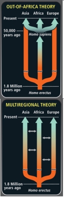 Out of Africa and Multi-regional model